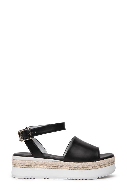 Nerogiardini Ankle Strap Platform Sandal In Black