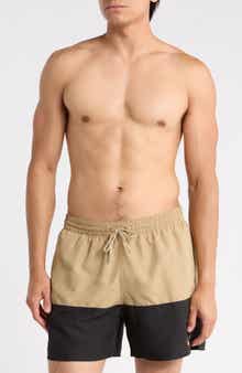 Colorblock Drawstring Volley Shorts