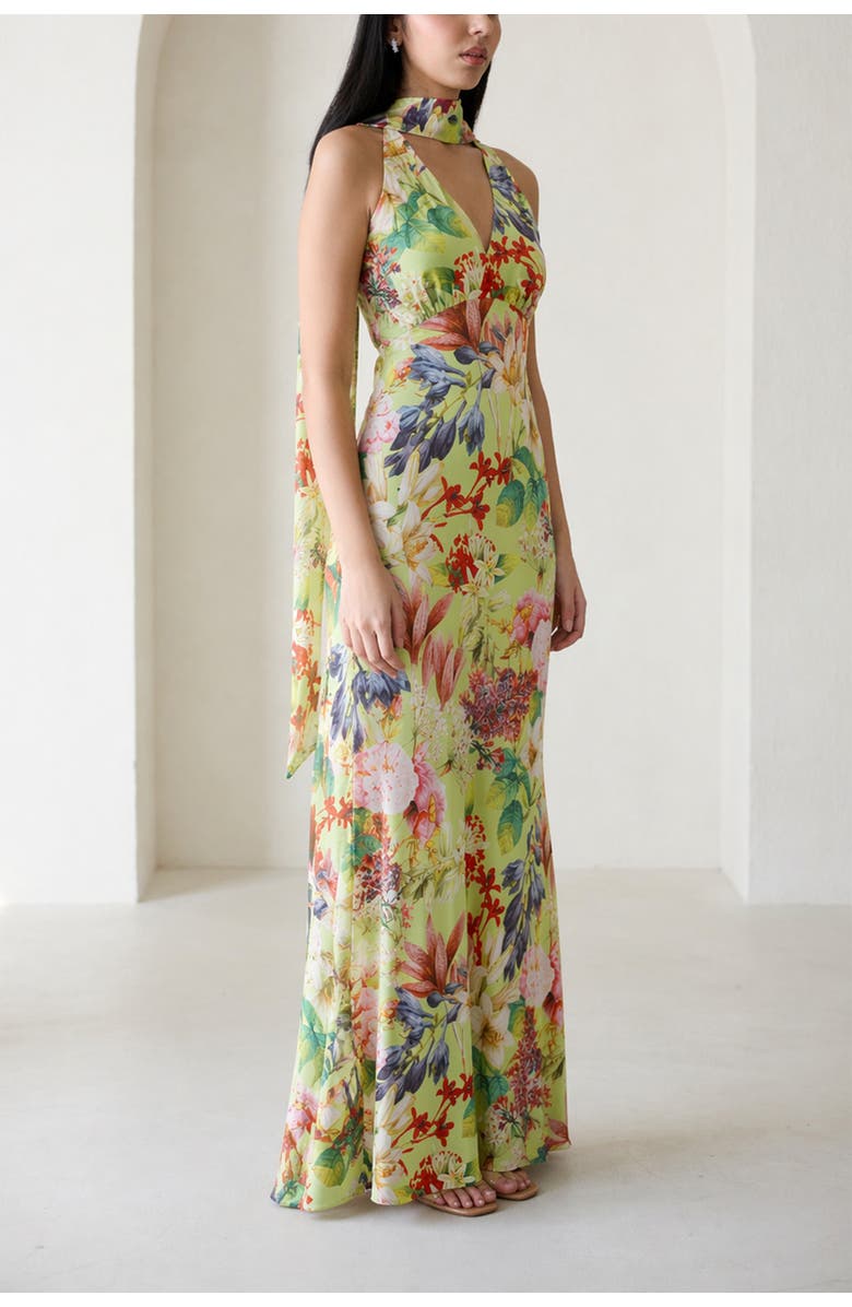 Vasiliki Catalina Silky Gown In Eden Tapestry, Alternate, color, Eden Tapestry