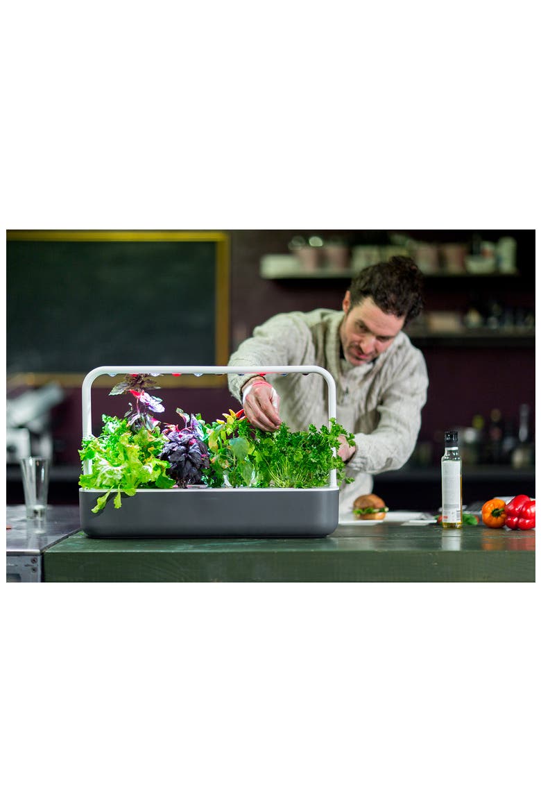 Smart Garden 9 Self Watering Indoor Garden, Alternate, color, GREY