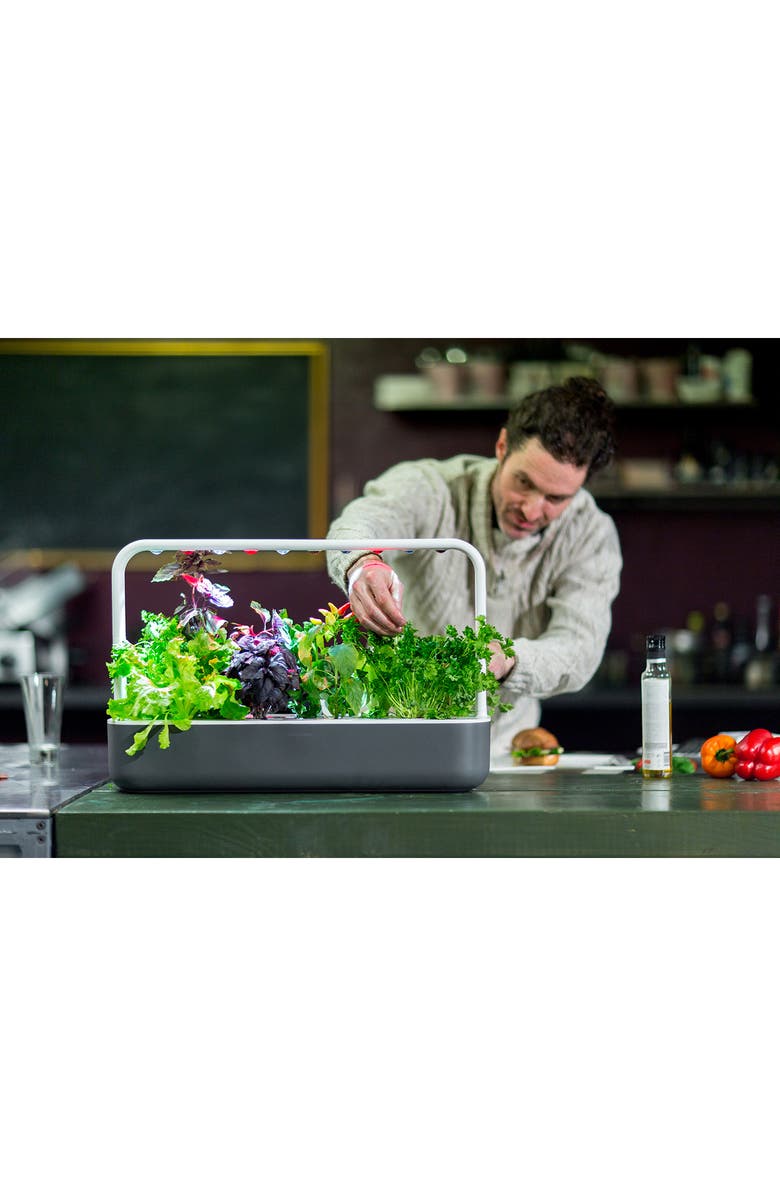 Click & Grow Smart Garden 9 Self Watering Indoor Garden, Alternate, color, Grey