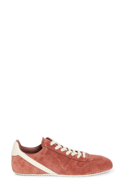 Rick Owens Minimal Low Top Sneaker In Pink