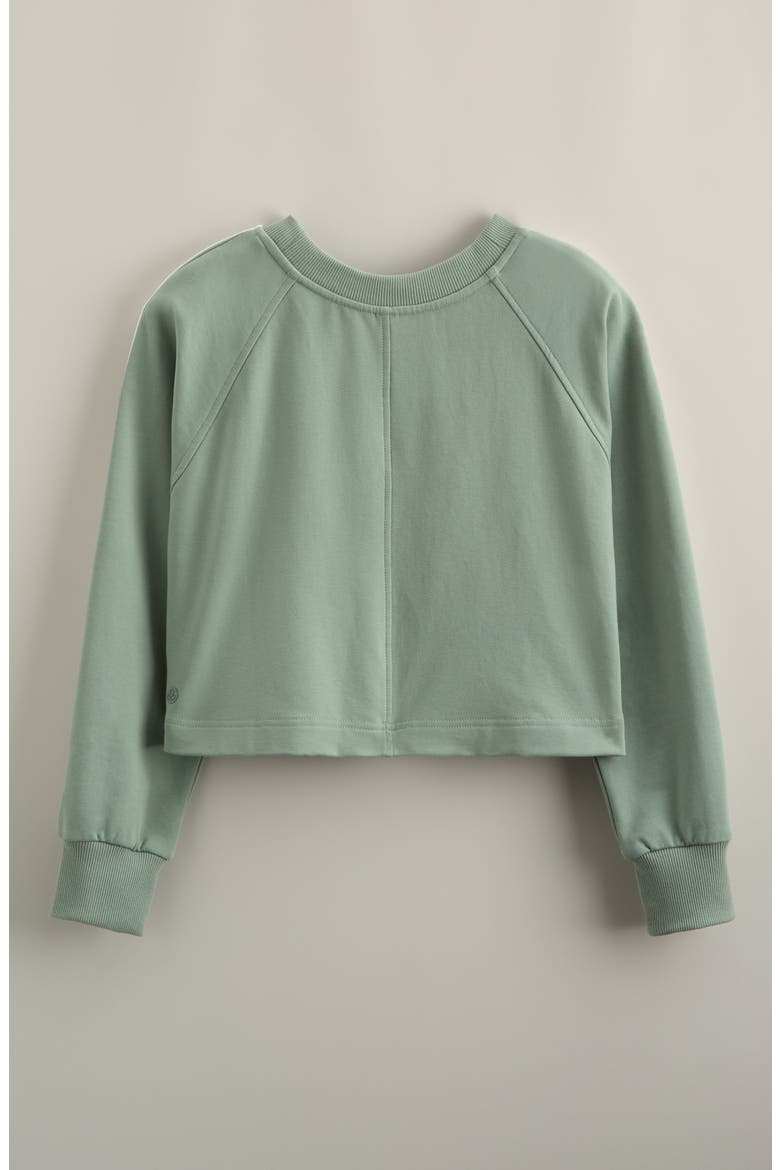 Kids' Vibe Check Cotton Blend French Terry Pullover, Alternate, color, GREEN LILYPAD
