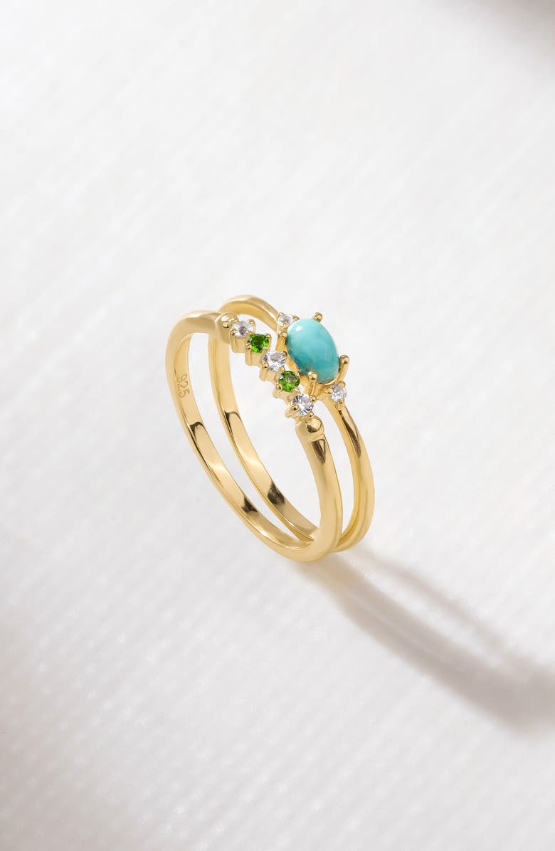 YS GEMS Set of 2 Turquoise Rings, Alternate, color, Blue