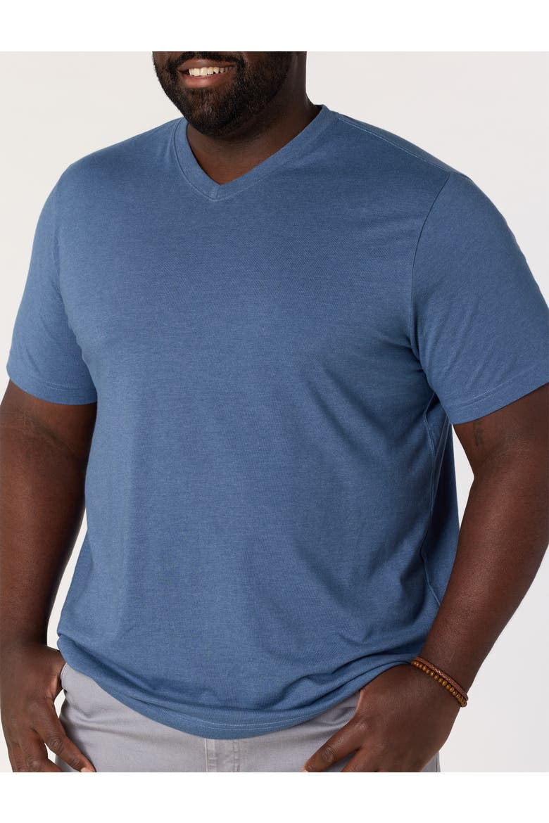 Big & Tall Moisture-Wicking Jersey V-Neck T-Shirt, Alternate, color, LIMOGES HTHR