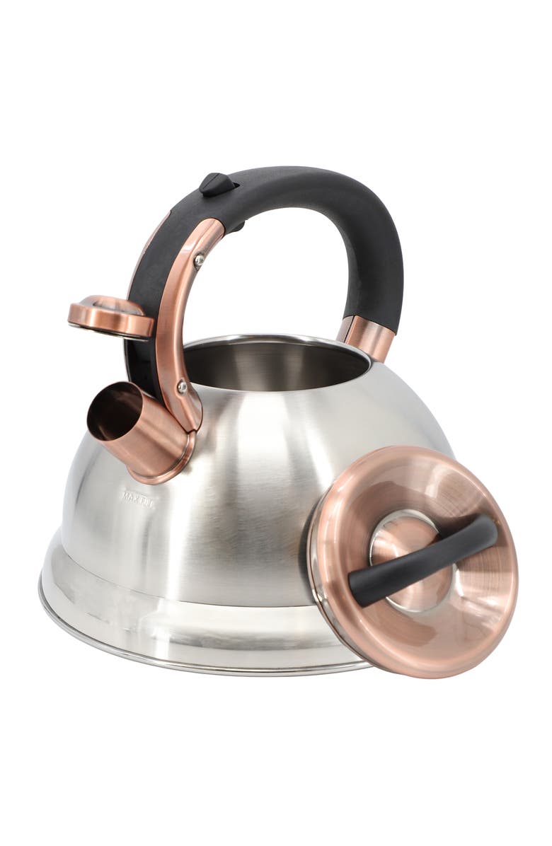 Mr. Coffee Flintshire 2.2 Quart Stainless Steel Whistling Tea Kettle, Alternate, color, Metallic Silver