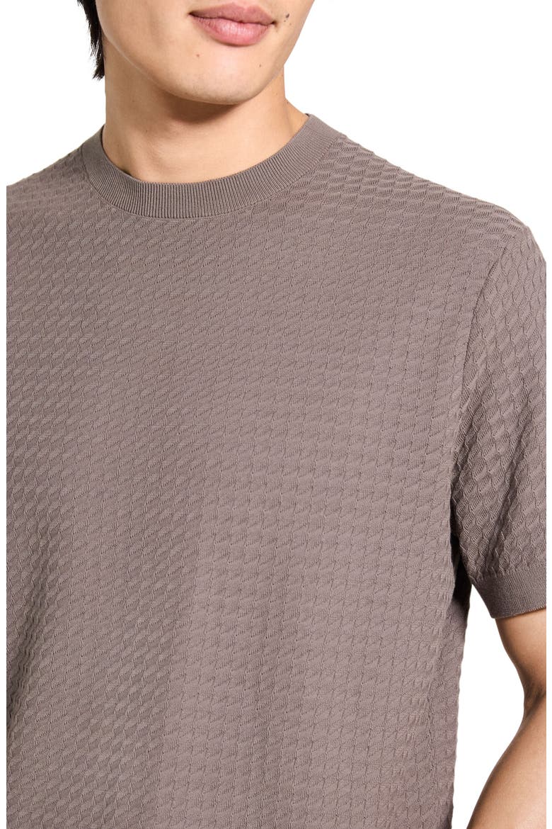 Damian Tactile Crewneck T-Shirt, Alternate, color, MOREL