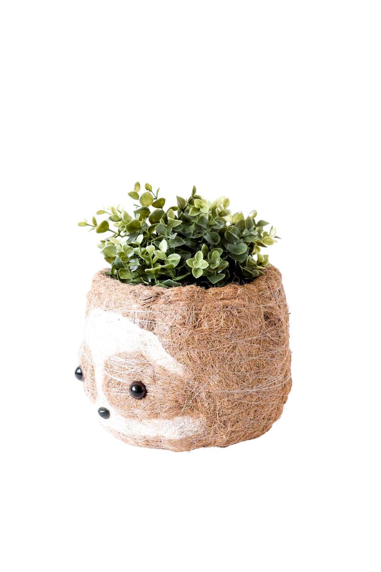 Animal Head Coco Coir Planters, Alternate, color, Two-Tone