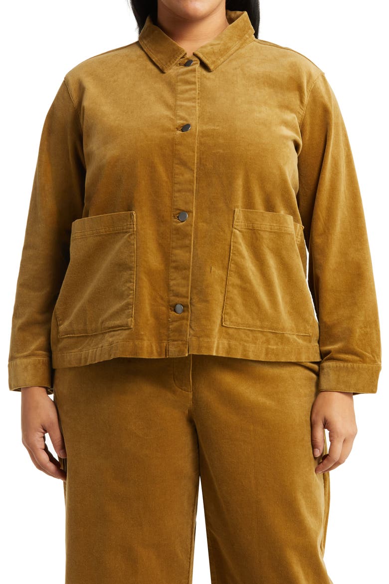 Classic Collar Organic Cotton Corduroy Jacket, Alternate, color, BUTTERNUT