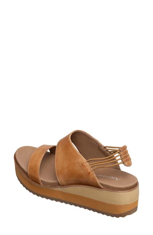 Antelope Cachet Platform Wedge Sandal In Multi