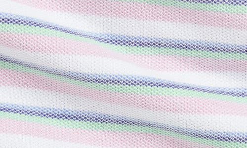 Polo Ralph Lauren Ralph Lauren Stripe Oxford Cotton Snap-up Hooded Jacket In Blue Multi Stripe