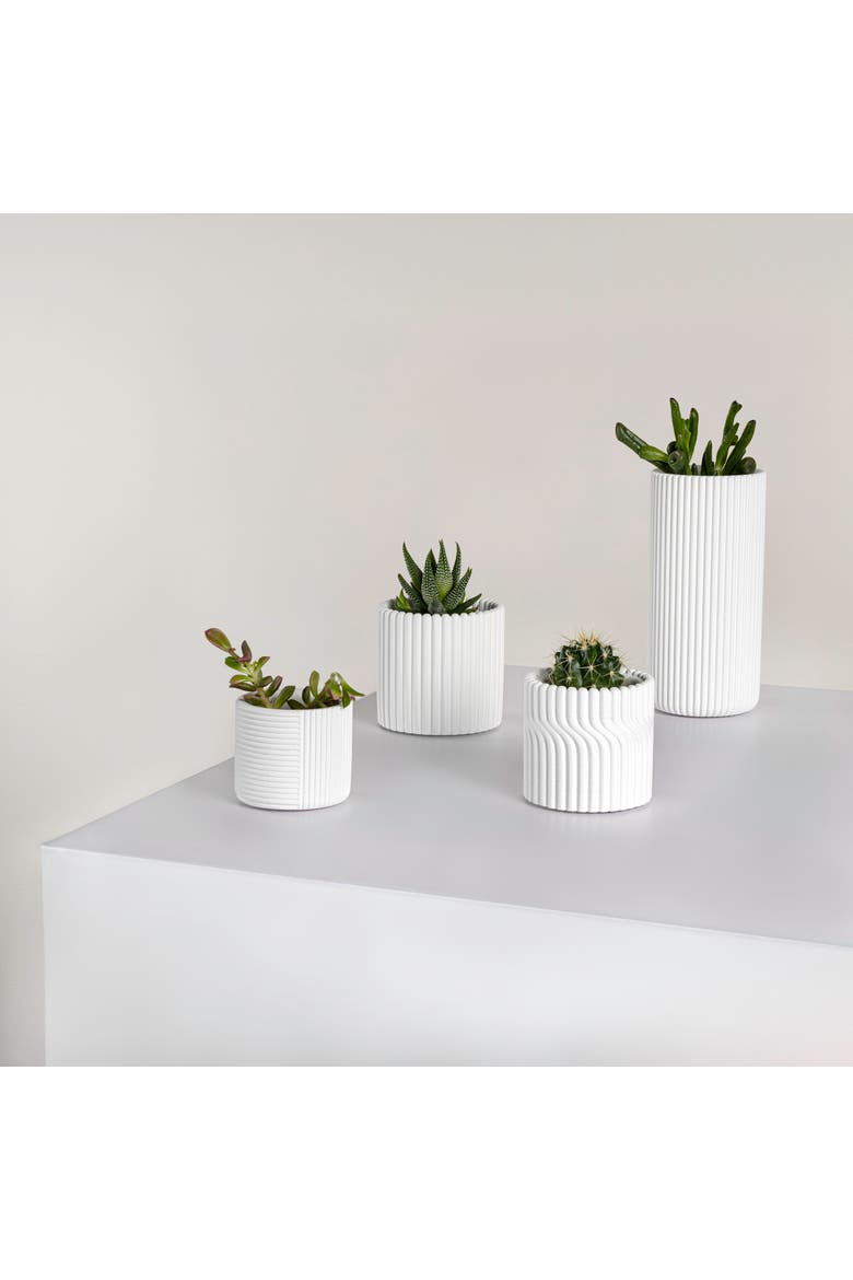 Noa Modern Minimalist Handmade Concrete Fluted Cylinder Planter Set, Alternate, color, White