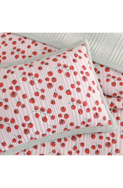 Peri Home Tomayto-tomahto Quilt & Sham Set In Pink Multi