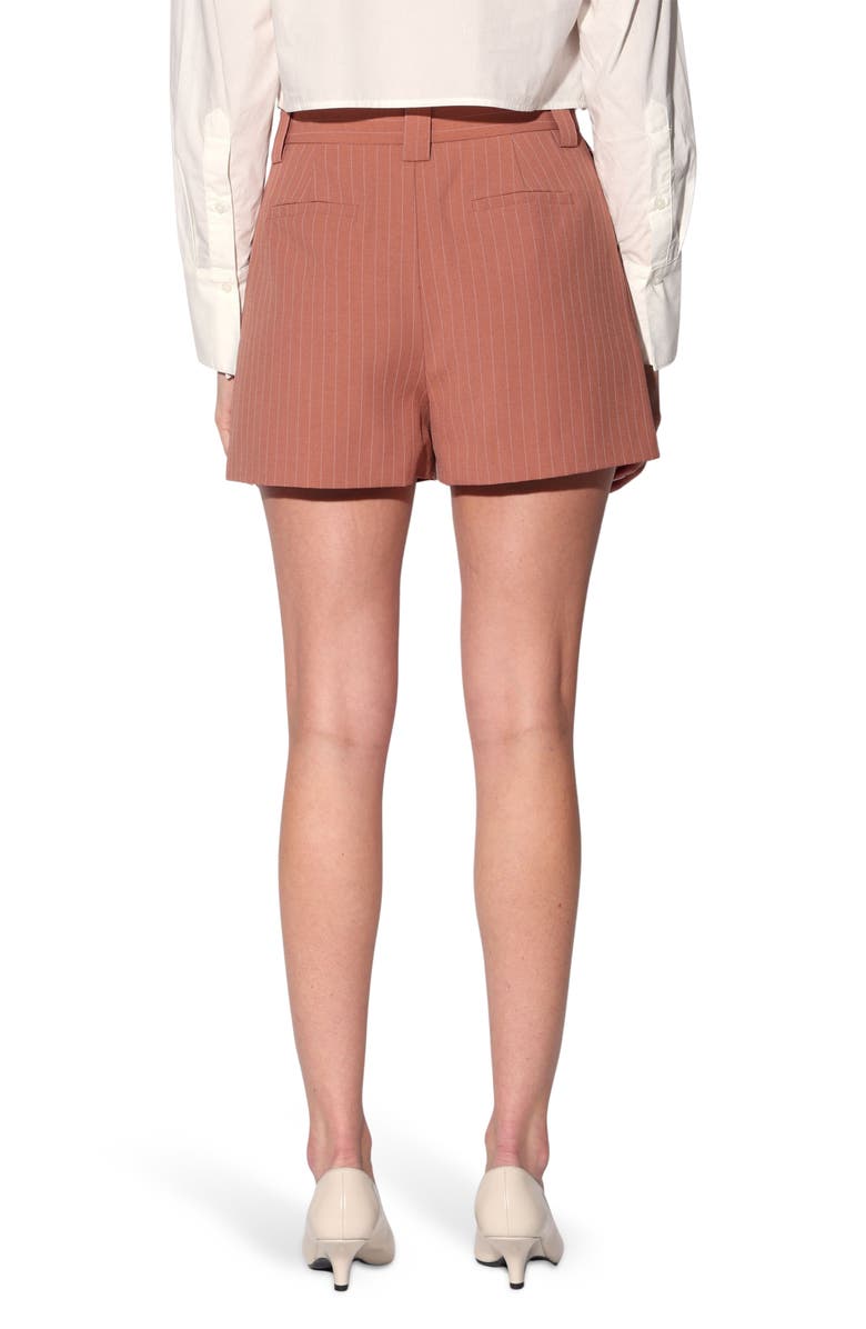 Walter Baker Beau Shorts, Alternate, color, Clay Pinstripe