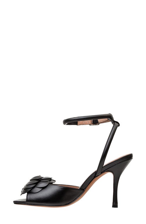 Linea Paolo Heather Ankle Strap Sandal In Black