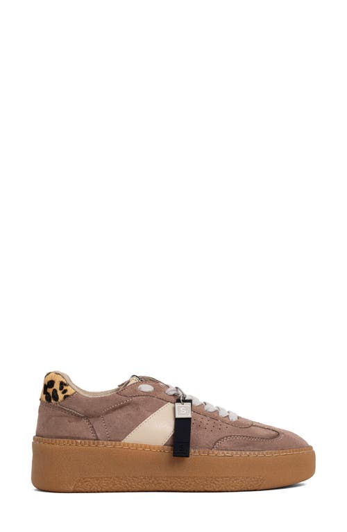Shushop Stacey Platform Sneaker In Multi