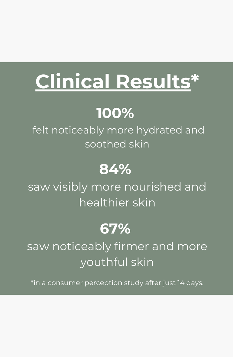 botanicary No. 12 REPLENISH Superfood Enzyme Nutritive Masque, Alternate, color, Brown