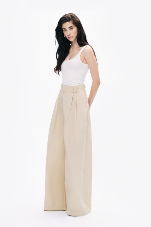 Nocturne Double Pleated Pants In Beige