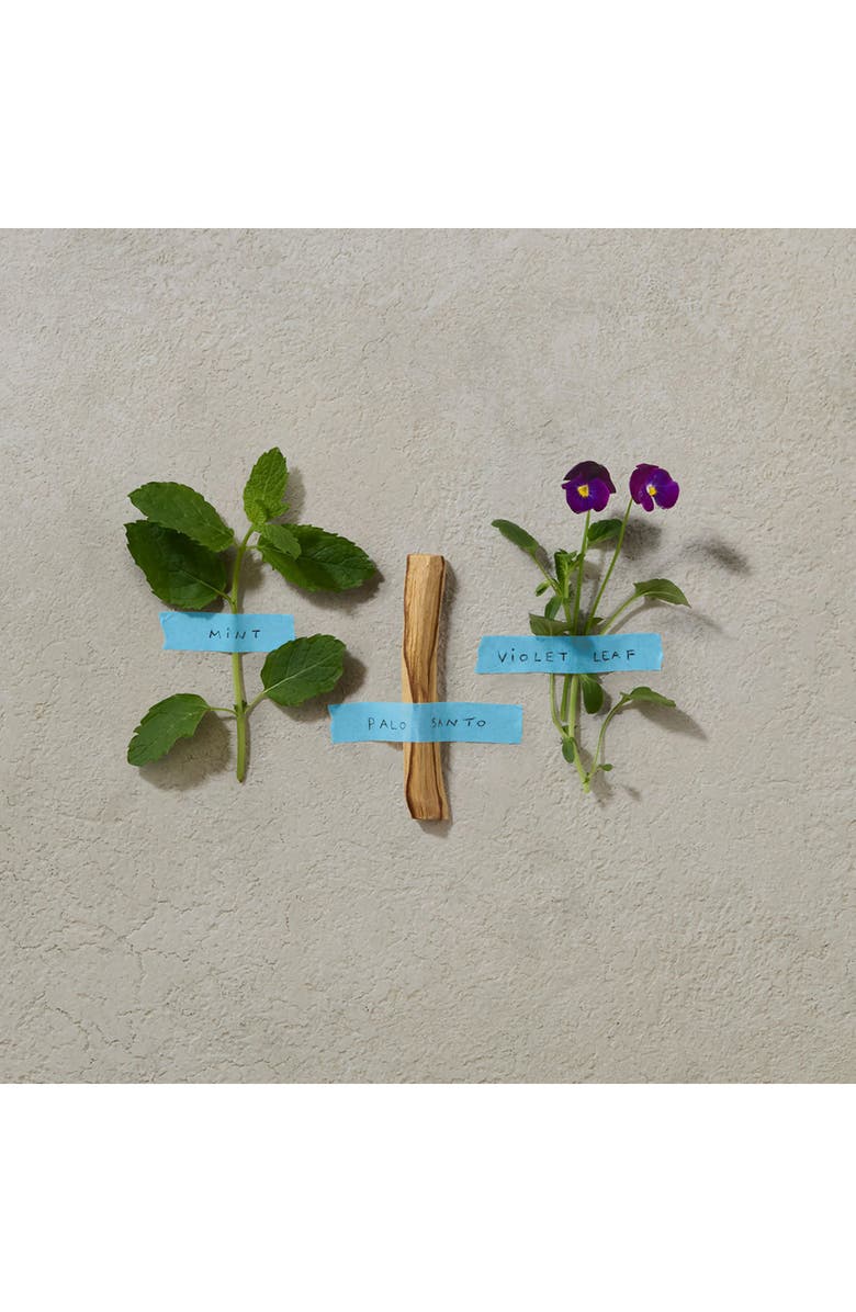 Penhaligon's Bold Blend Eau de Parfum, Alternate, color, 