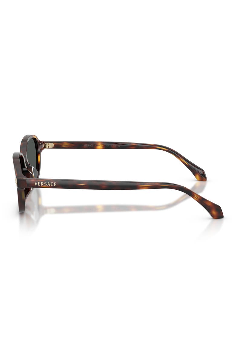 53mm Pillow Sunglasses, Alternate, color, HAVANA / DARK BROWN