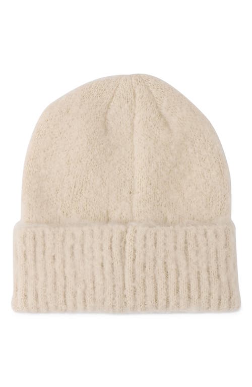 Arctic Fox & Co. Arctic Fox & Co The Reykjavik Beanie In Brown