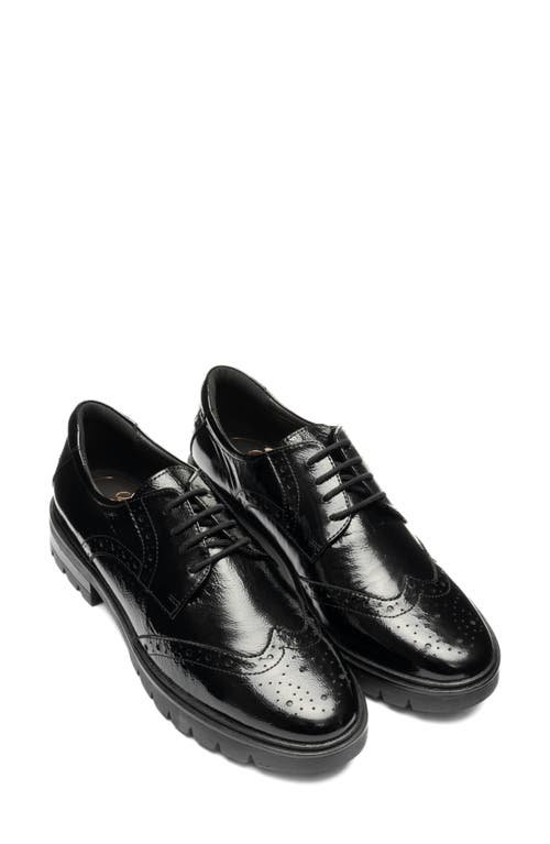 Ara Clementine Wingtip Derby In Black