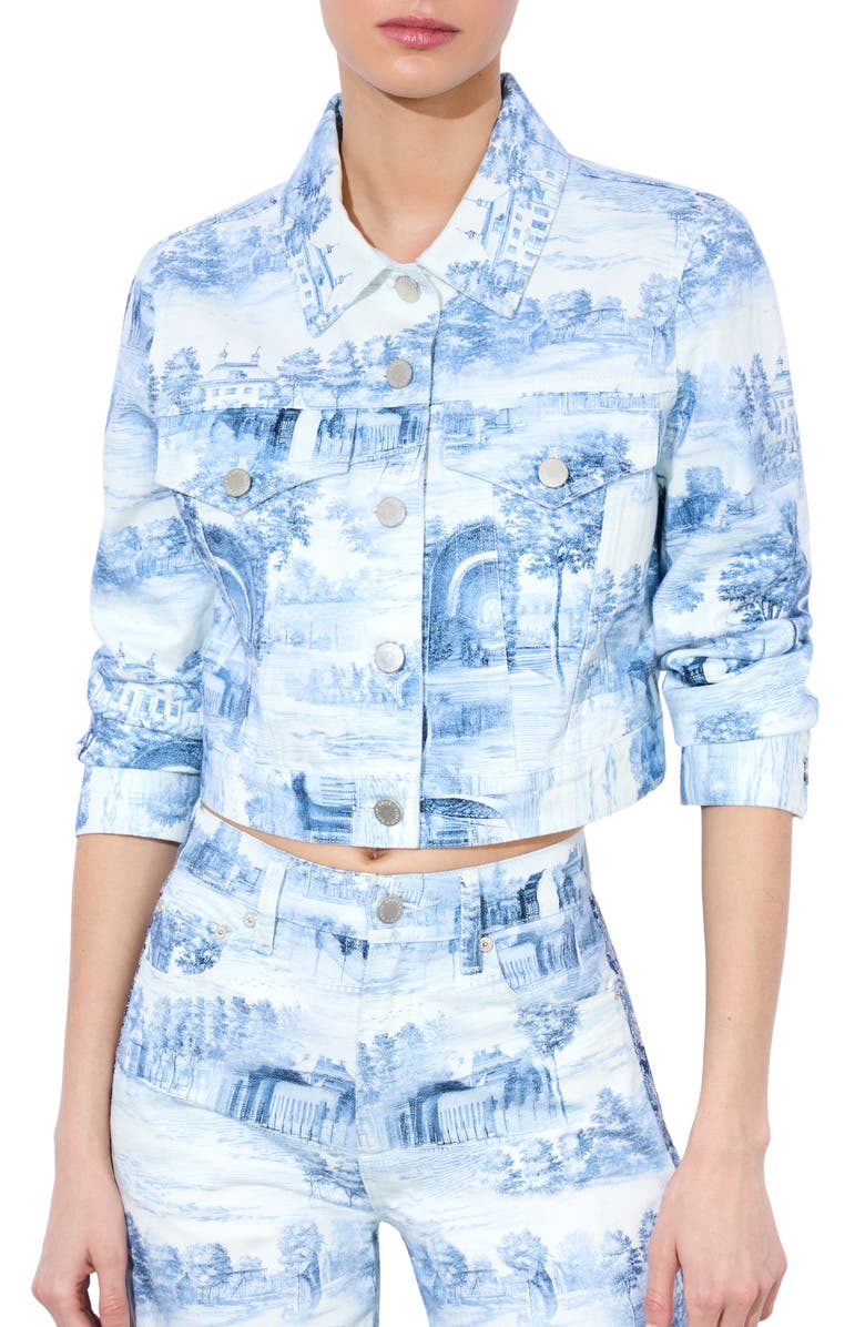 Alice + Olivia Chloe Boxy Crop Jacket, Main, color, 