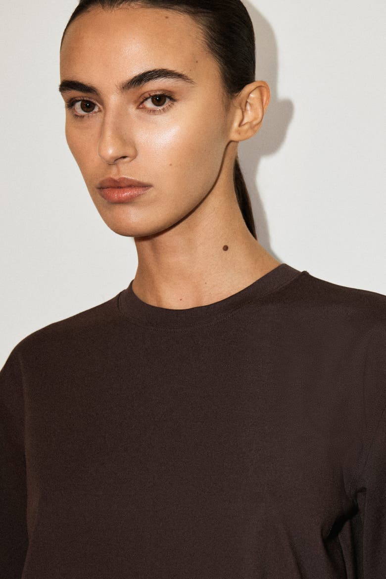 Panelled Dropped-waist Mini Dress, Alternate, color, DARK BROWN