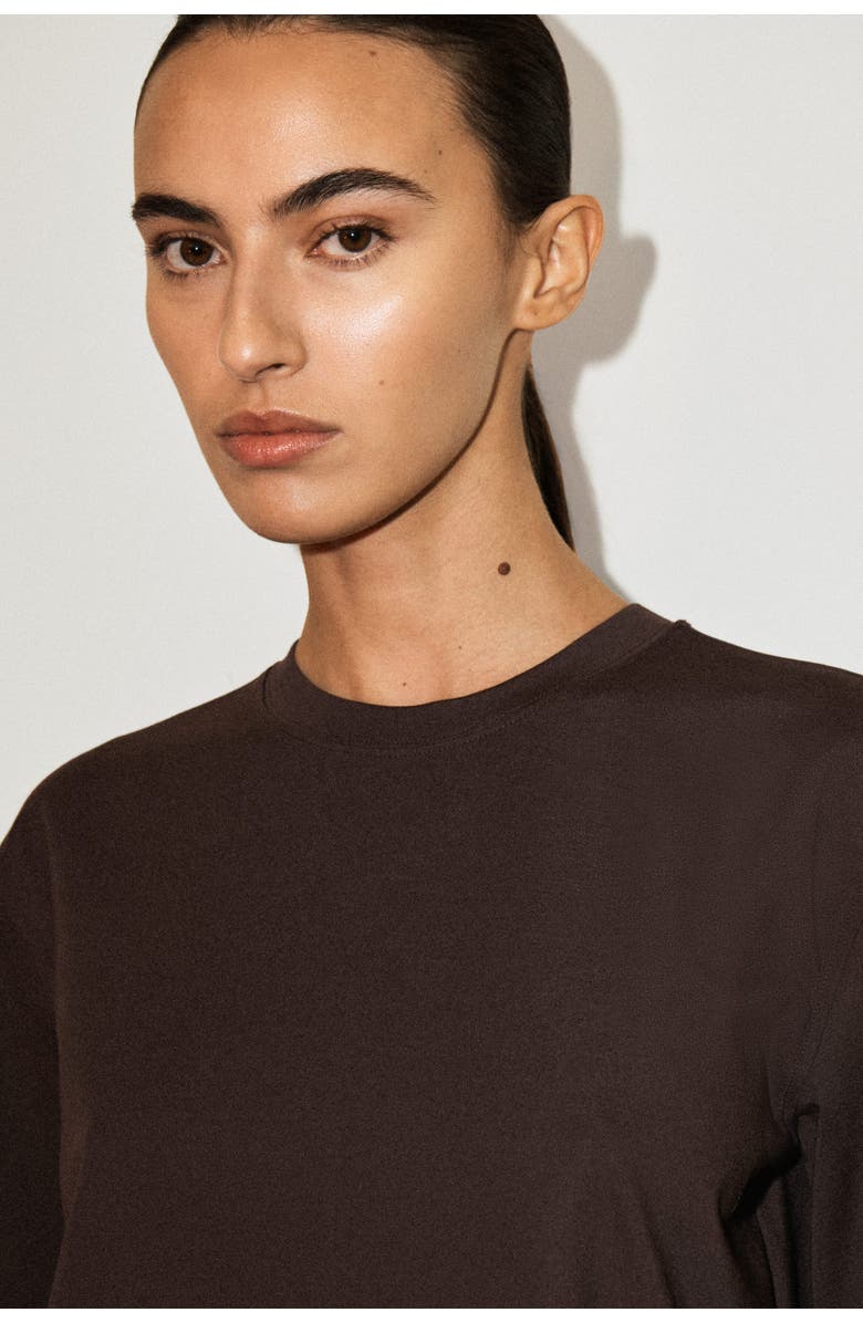 COS Panelled Dropped-waist Mini Dress, Alternate, color, Dark Brown