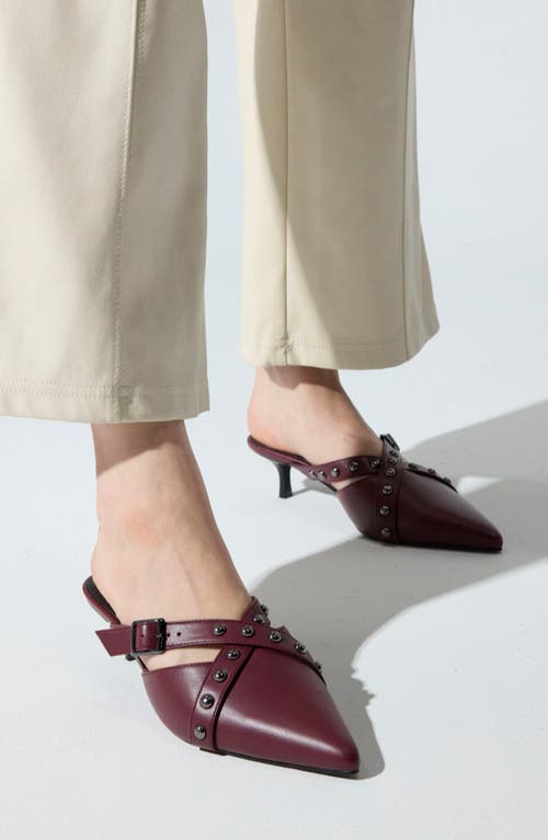 Yosi Samra Alexis Pointed Toe Kitten Heel Mule In Burgundy