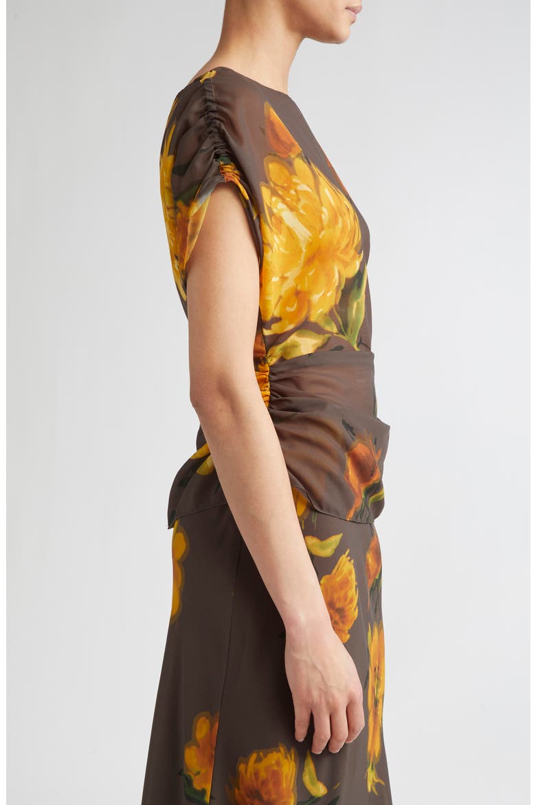 Floral Shirred Cap Sleeve Chiffon Top, Alternate, color, CHOCOLATE MULTI