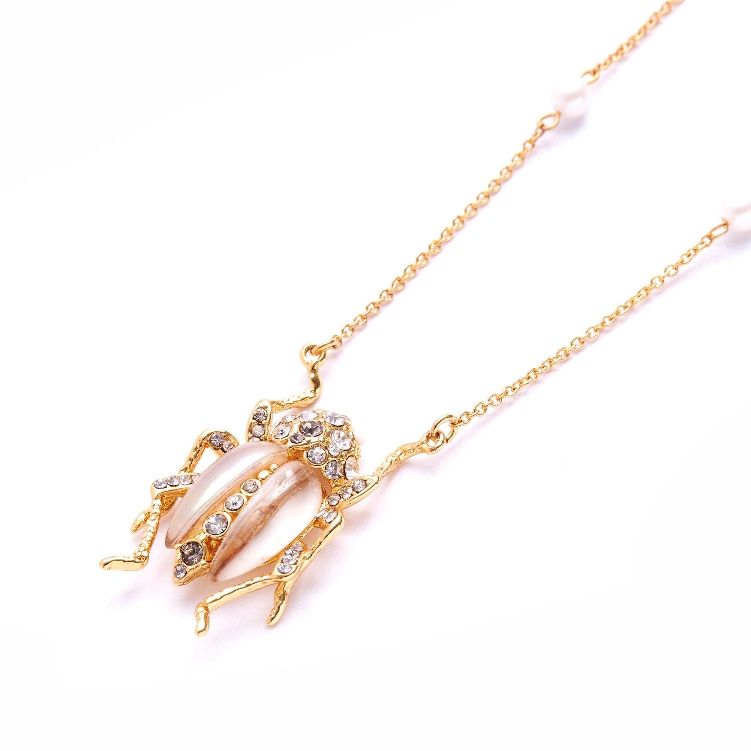 selected Beetle