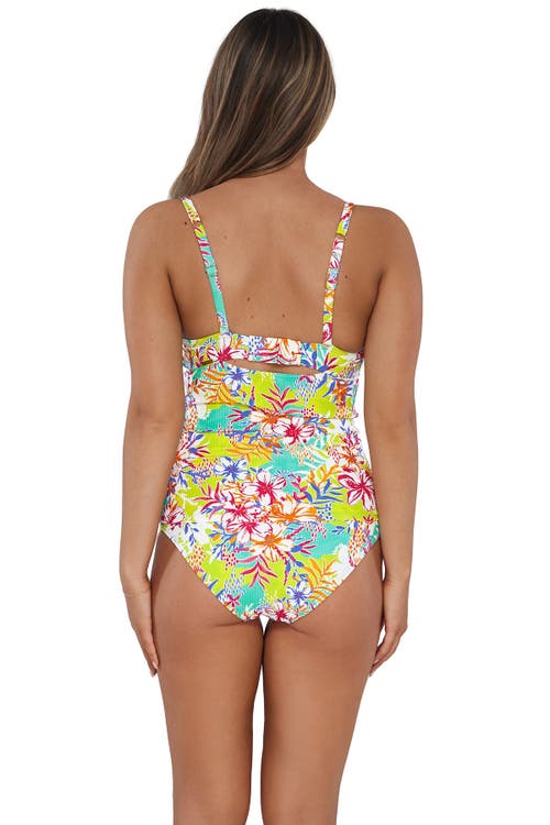 Sunsets Serena Tankini Swimsuit Top In Multi