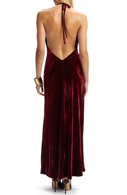 Bardot Yve Velour Halter Dress In Burgundy