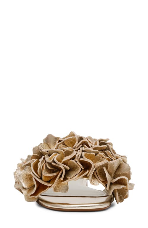 Shop Steve Madden Flo Slide Sandal In Gold