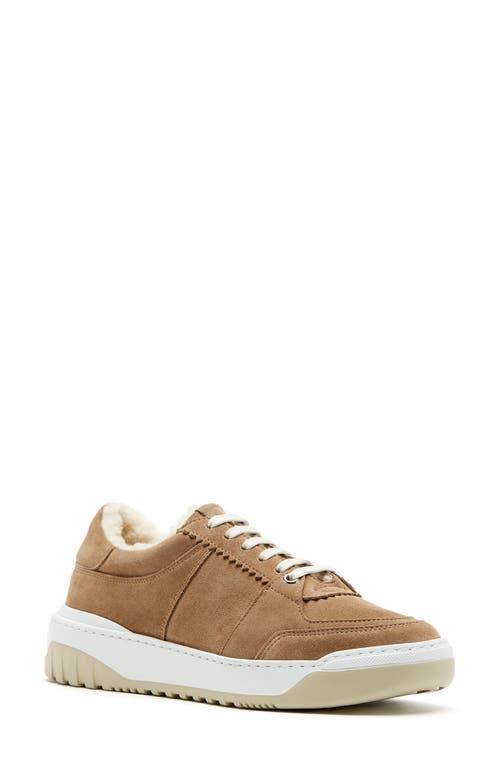 La Canadienne Klare Water Resistant Genuine Shearling Lined Sneaker in Biscotti Suede 