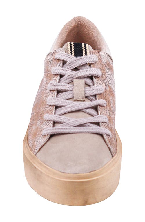Shushop Sienna Low Top Sneaker In Gold Snake