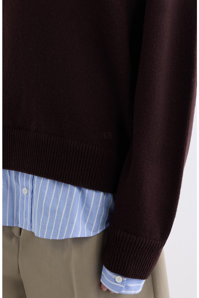 Karooniv Wool V-Neck Sweater, Alternate, color, DARK BROWN