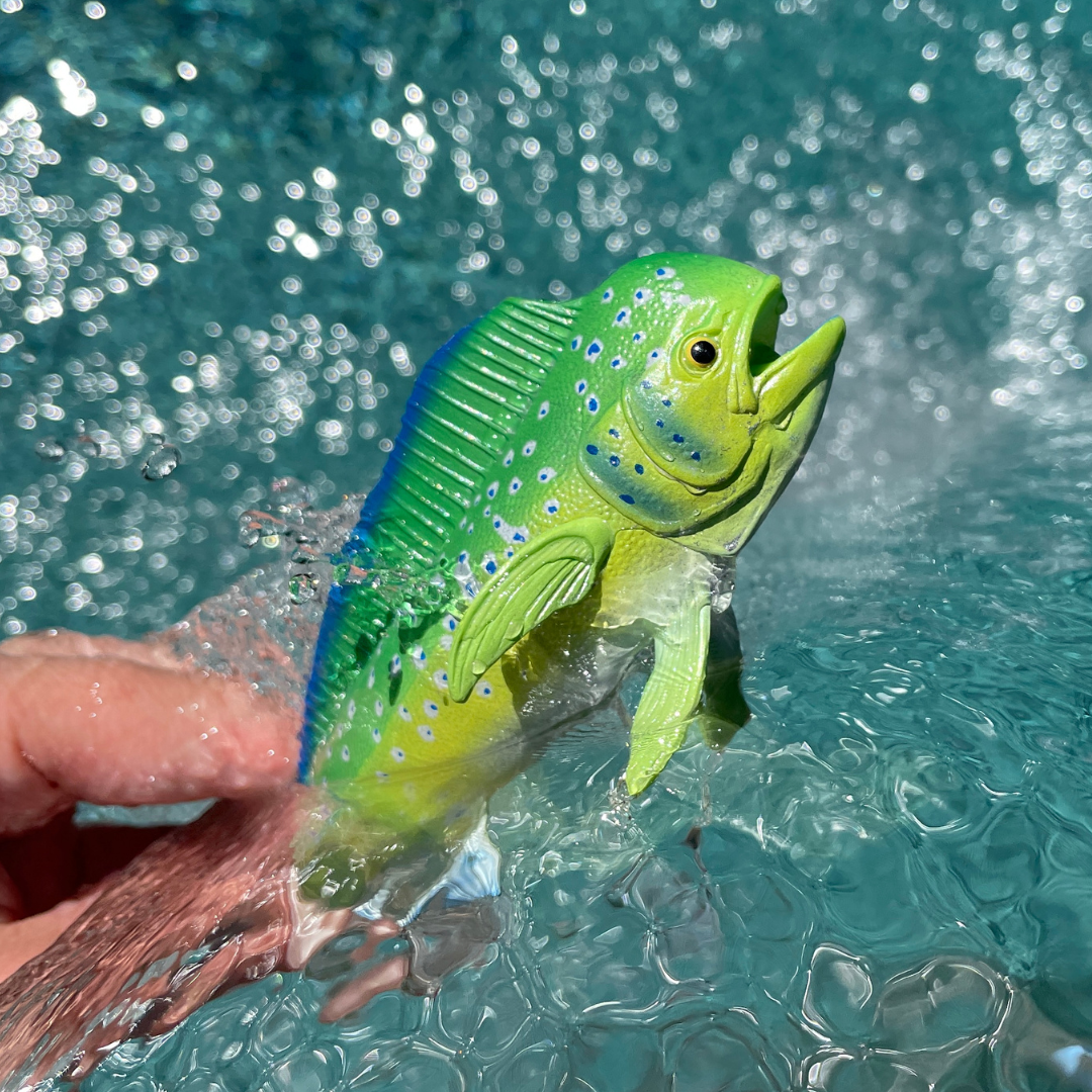 Mahi-Mahi (Dolphin Fish) Toy | Nordstrom