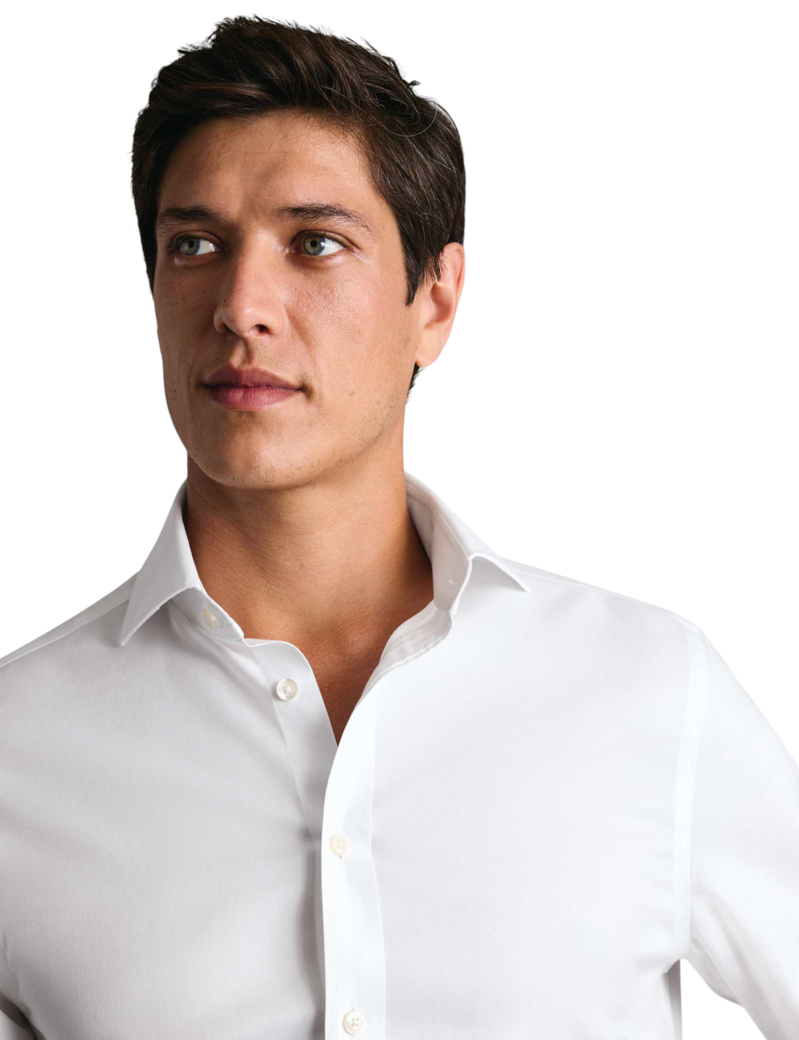 Non-Iron Twill Shirt - image 2