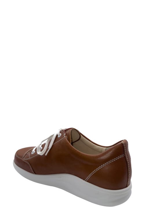 Finn Comfort Ikebukuro Sneaker In Saddle