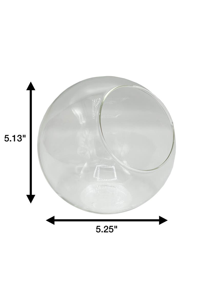 Classic 5 Inch Glass Terrarium, Alternate, color, Clear