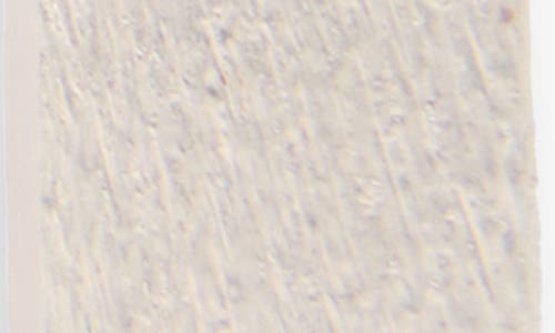 Saachi Brushed Geometric Drop Earrings In Metallic