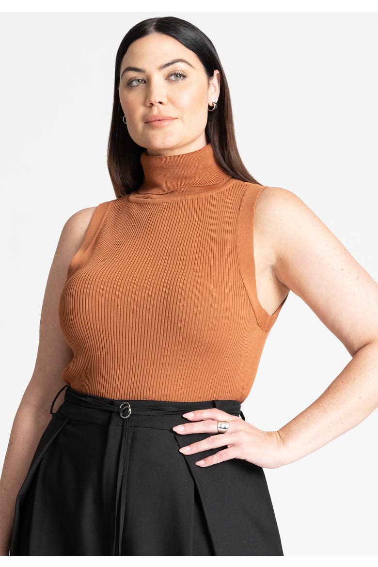 Turtleneck Layering Sweater, Main, color, WARM CHESTNUT