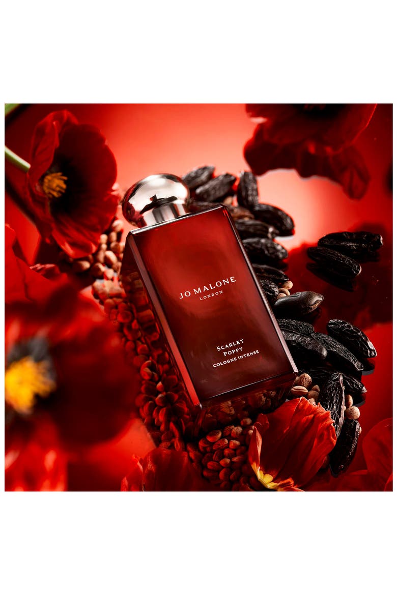 5-Piece Cologne Intense Collection Discovery Set $160 Value, Alternate, color, NO COLOR