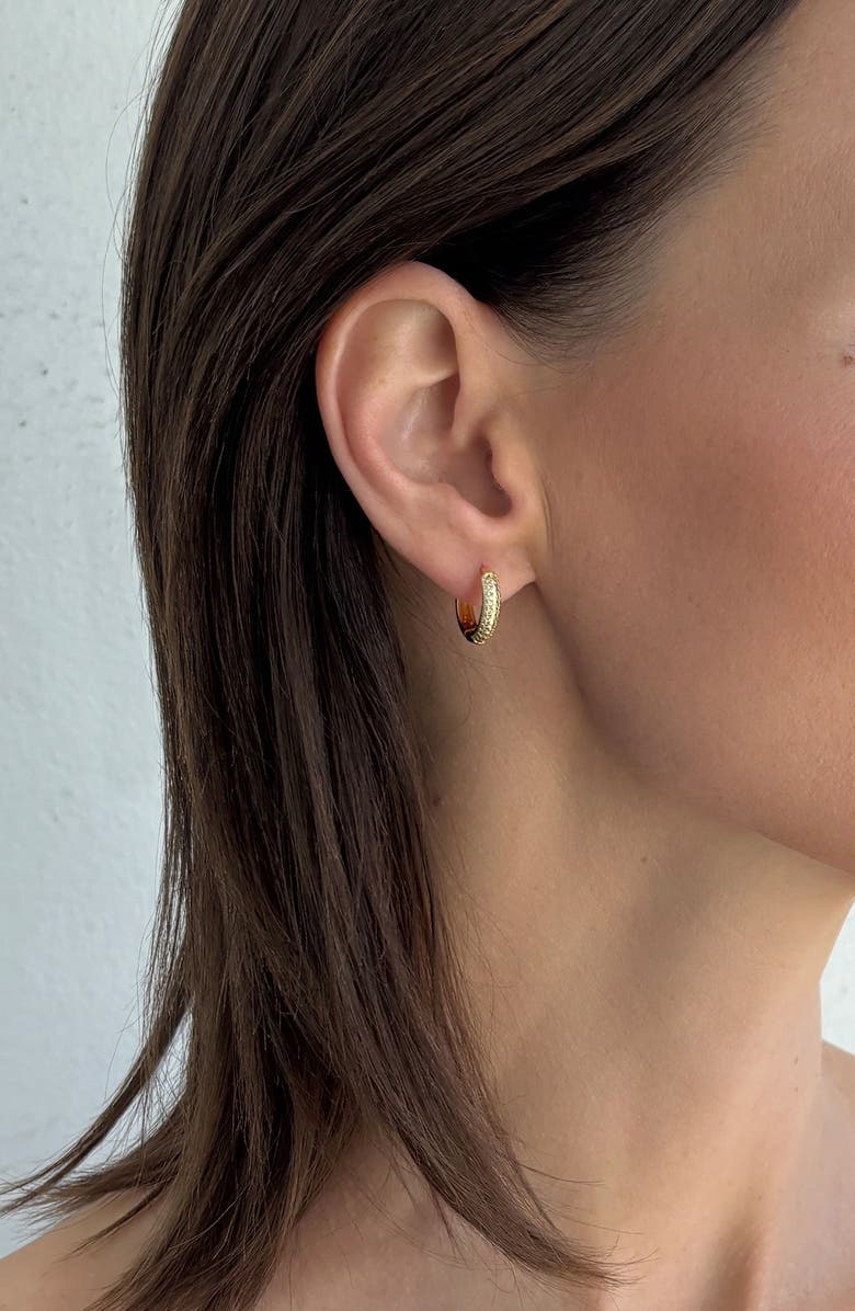 Adornia 2-Pack Assorted Hoop Earrings, Alternate, color,