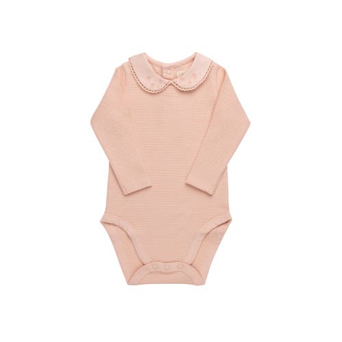 Ely's & Co. Embroidered Collar Collection In Neutral