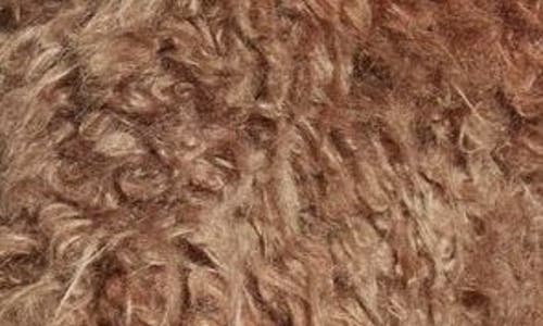Acne Studios Freya Faux Shearling Knit Jacket In Mud Brown