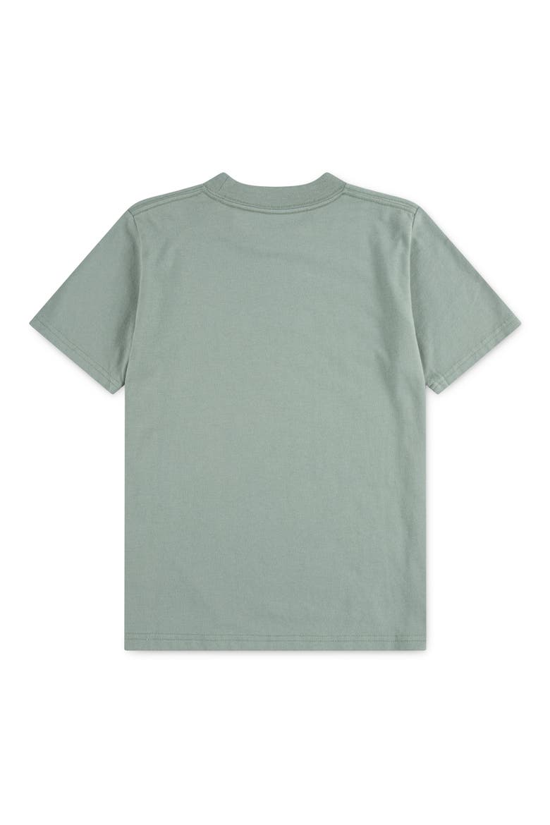 Kids' Essential Cotton Blend T-Shirt, Alternate, color, F9RCHINOIS