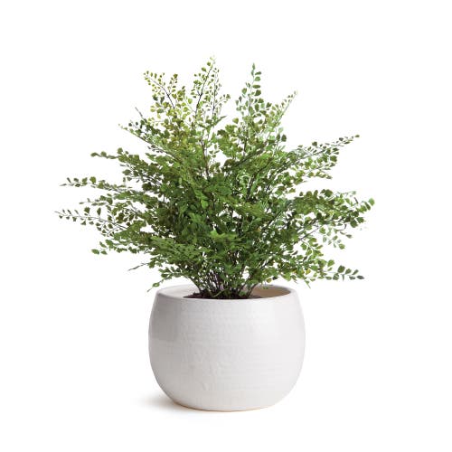 Napa Home & Garden Kayla Pot Small In White